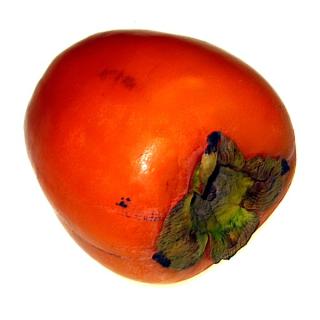 Kaki