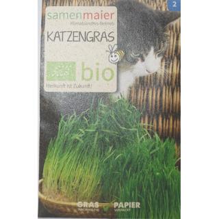 Katzengras bio