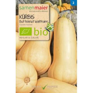 Kürbis Butternut Walttham