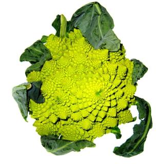 Romanesco