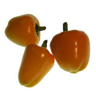 Spitzpaprika