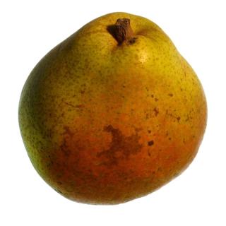Birnen
