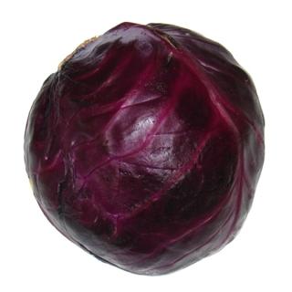 Blaukraut